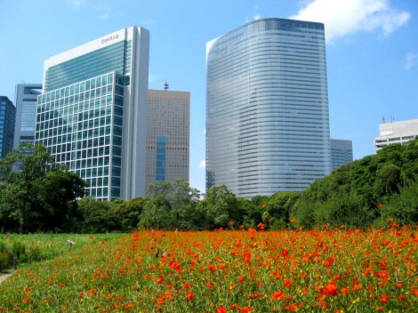 The garden provides in a stunning contrast. A feudal garden against  Shiodome's 21st century skyscrapers in the background.